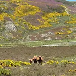 Sanabria 아파트