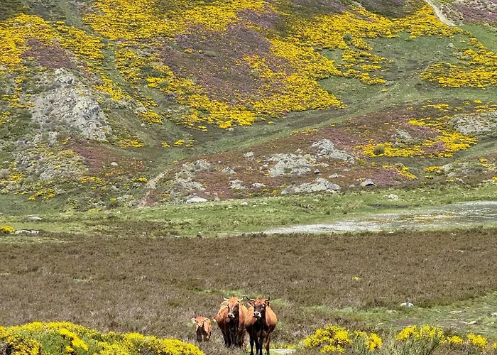 Sanabria Appartement